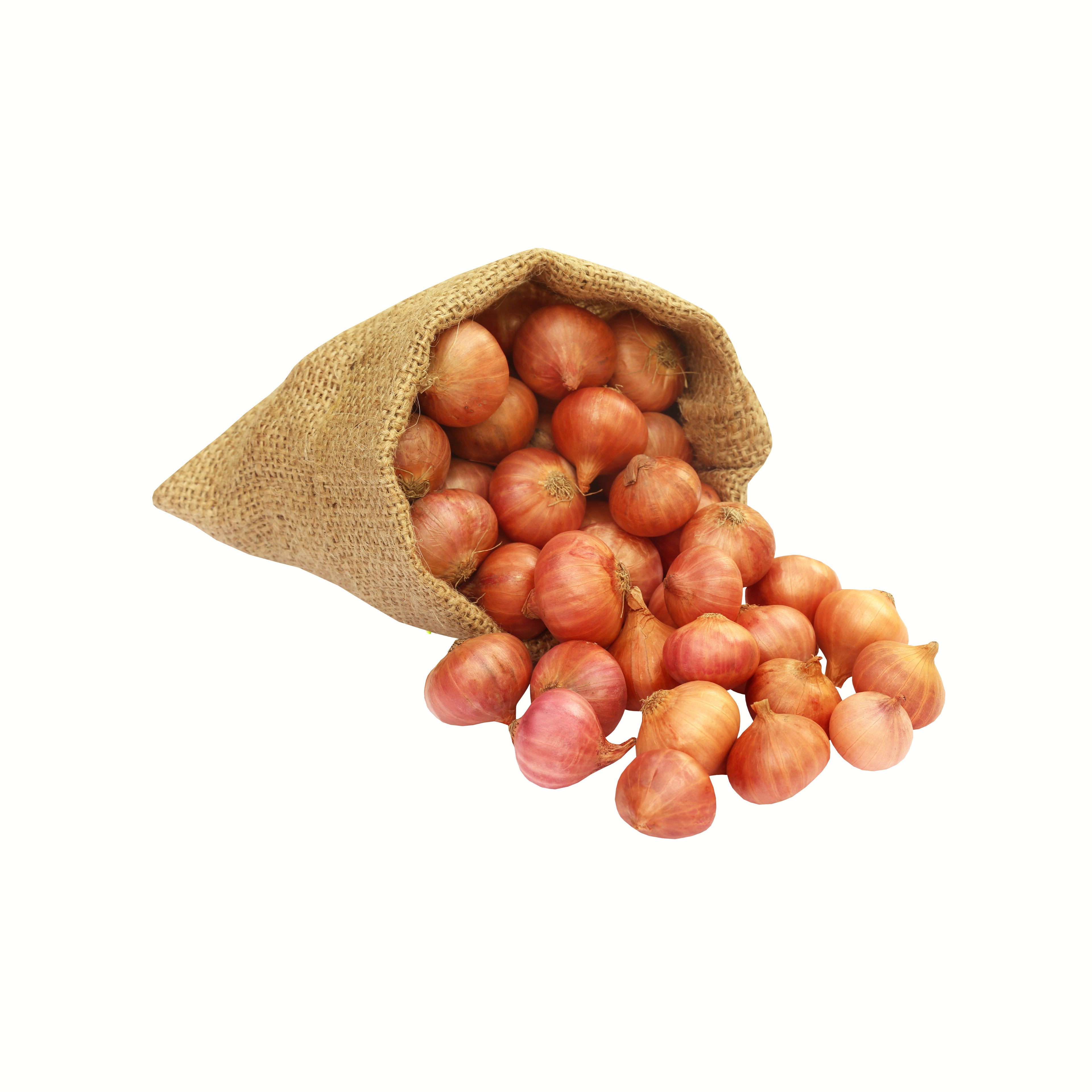 Onion