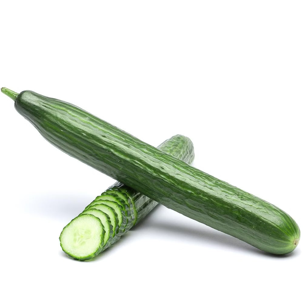 Swedish Cucumber Seeds