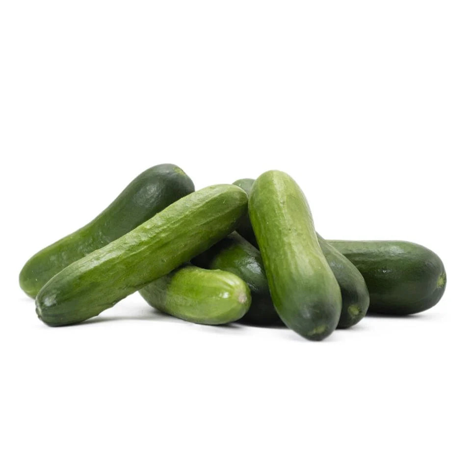 Von Greven Mini Green Cucumber F1 Seeds