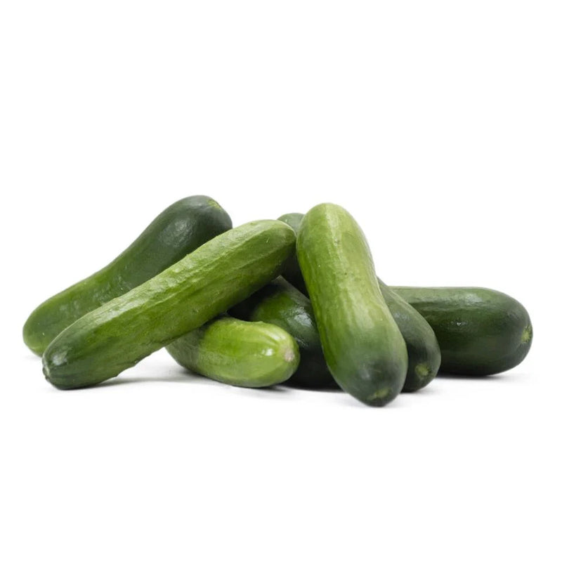 Von Greven Mini Green Cucumber F1 Seeds
