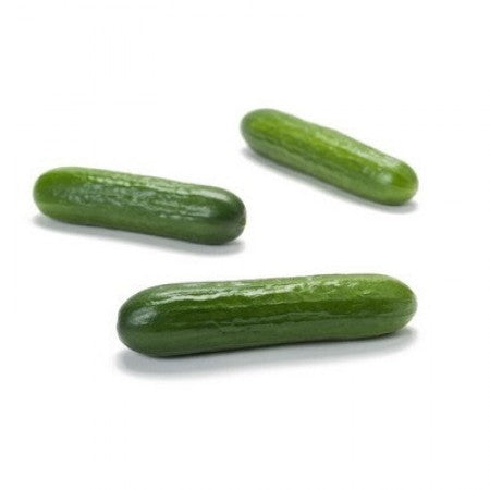 Von Greven Mini Green Cucumber F1 Seeds