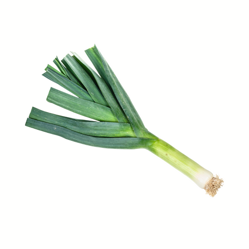 Bulgaarse Reuzen Leek