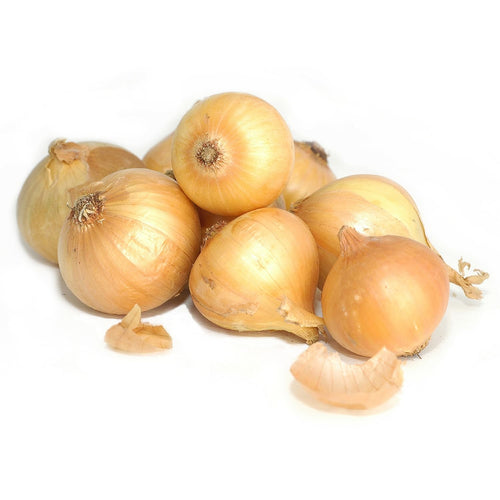 Amber Sun Yellow Onion